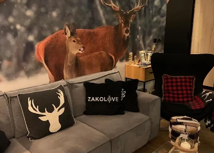 ZAKOLOVE Pod Skocznią - Sauna